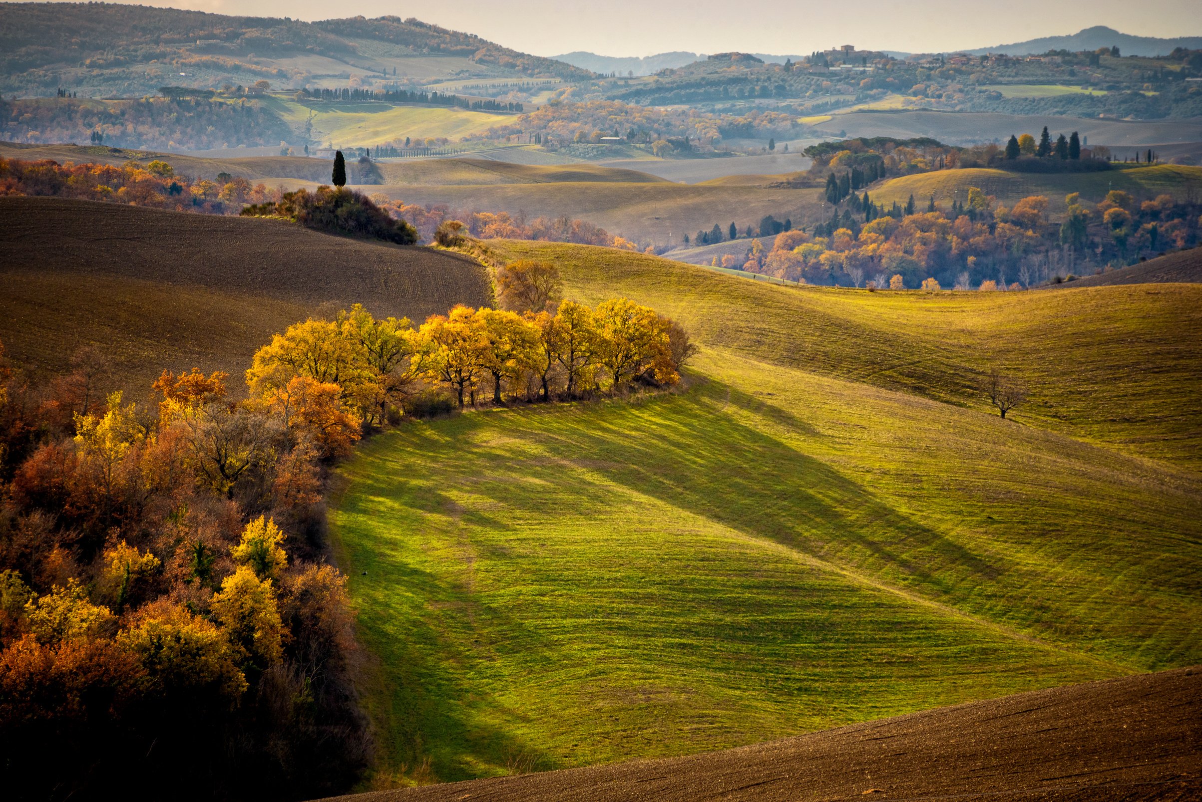 Tuscan hills, Tuscan landscape. Tuscany, Italy